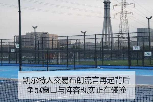 img_1781680480673_72_2_474.jpg